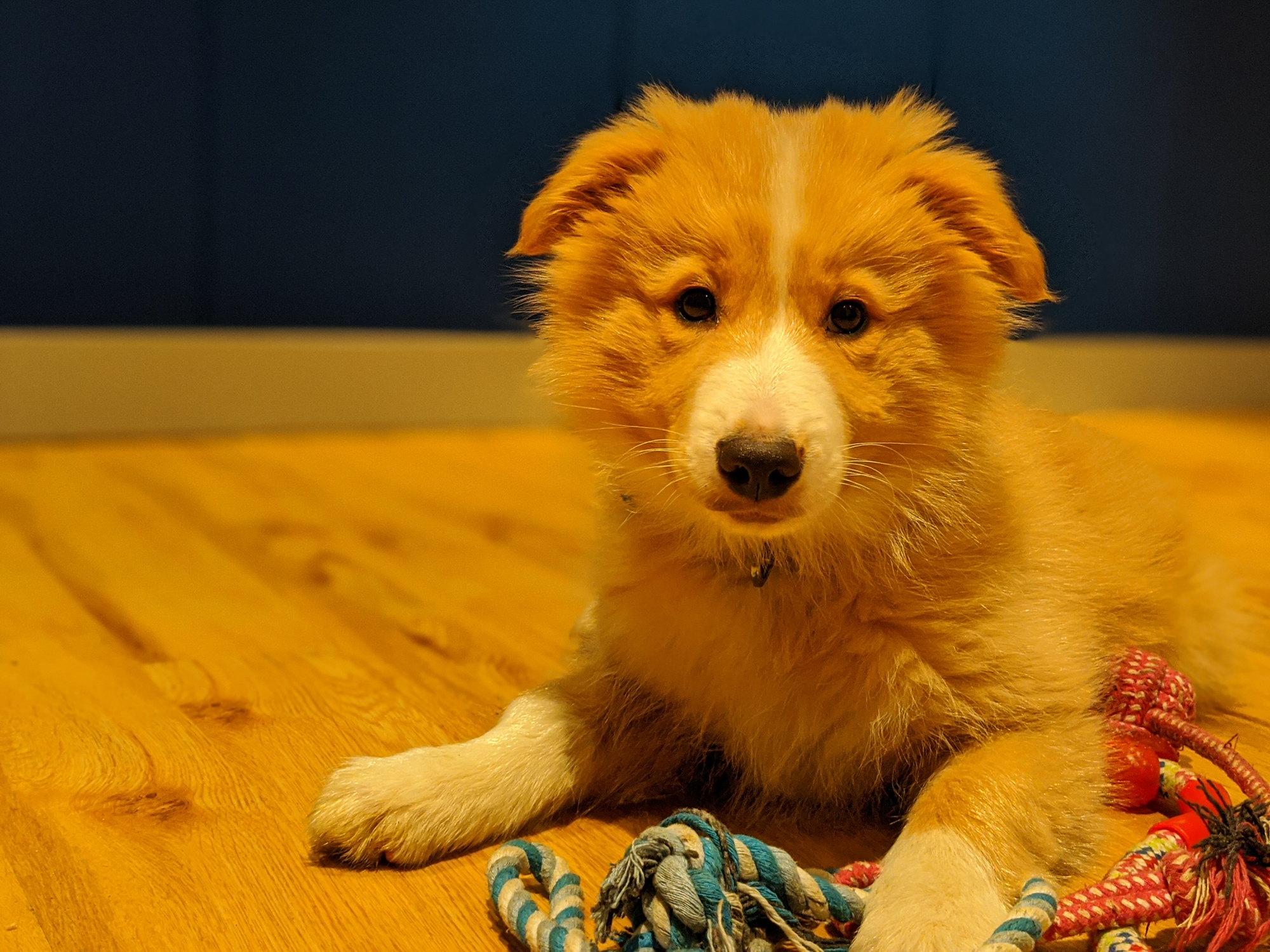 Star LabTop MK I The first laptop from Star Labs Systems